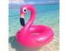 Billede af Flamingo badering