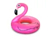 Billede af Flamingo badering